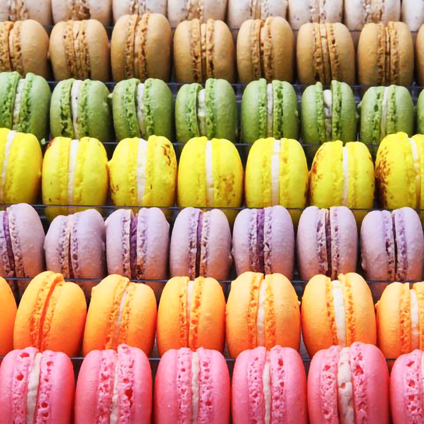 アミエルのマカロン